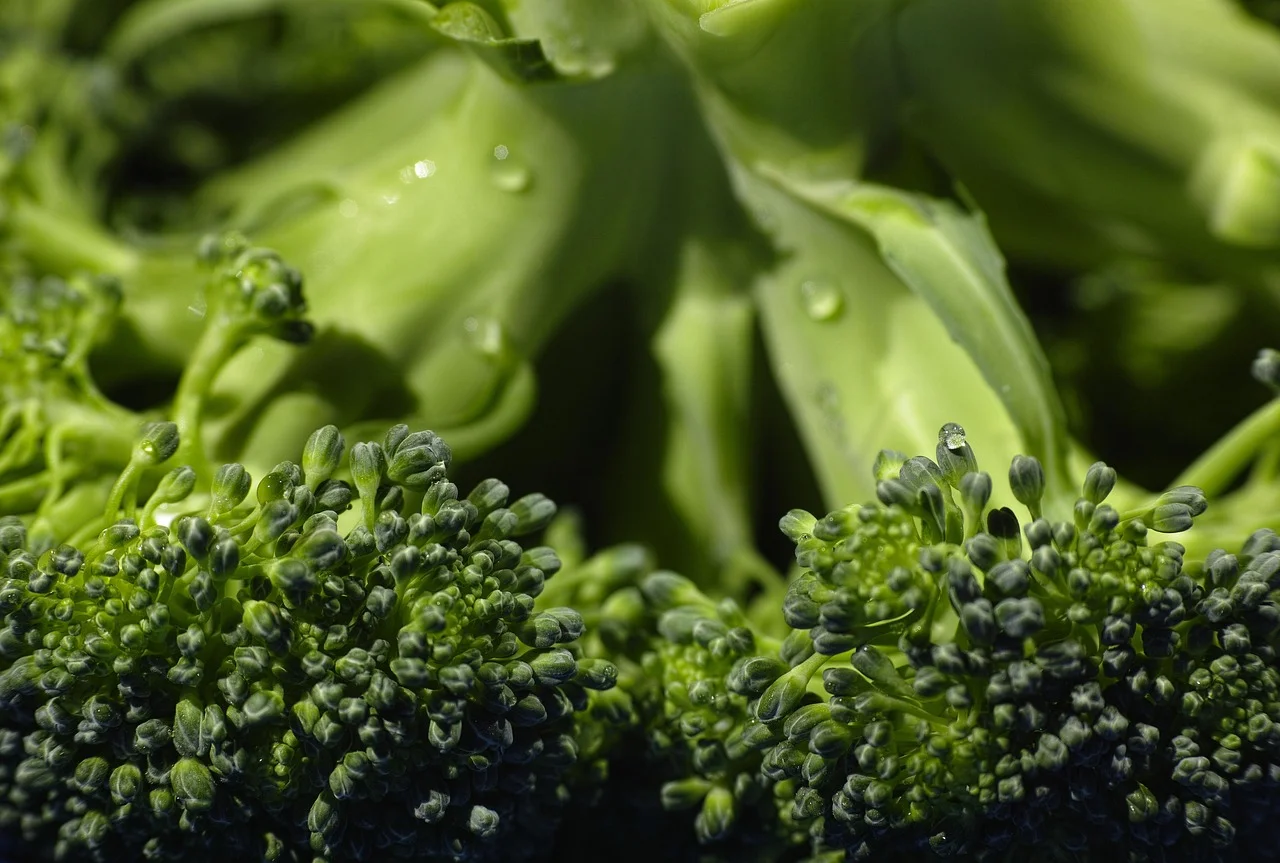 Close-up van verse broccoli met waterdruppels, een van de kruisbloemige groenten die de lever ondersteunen